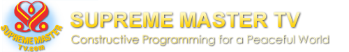 SM logo H100 smtv.png