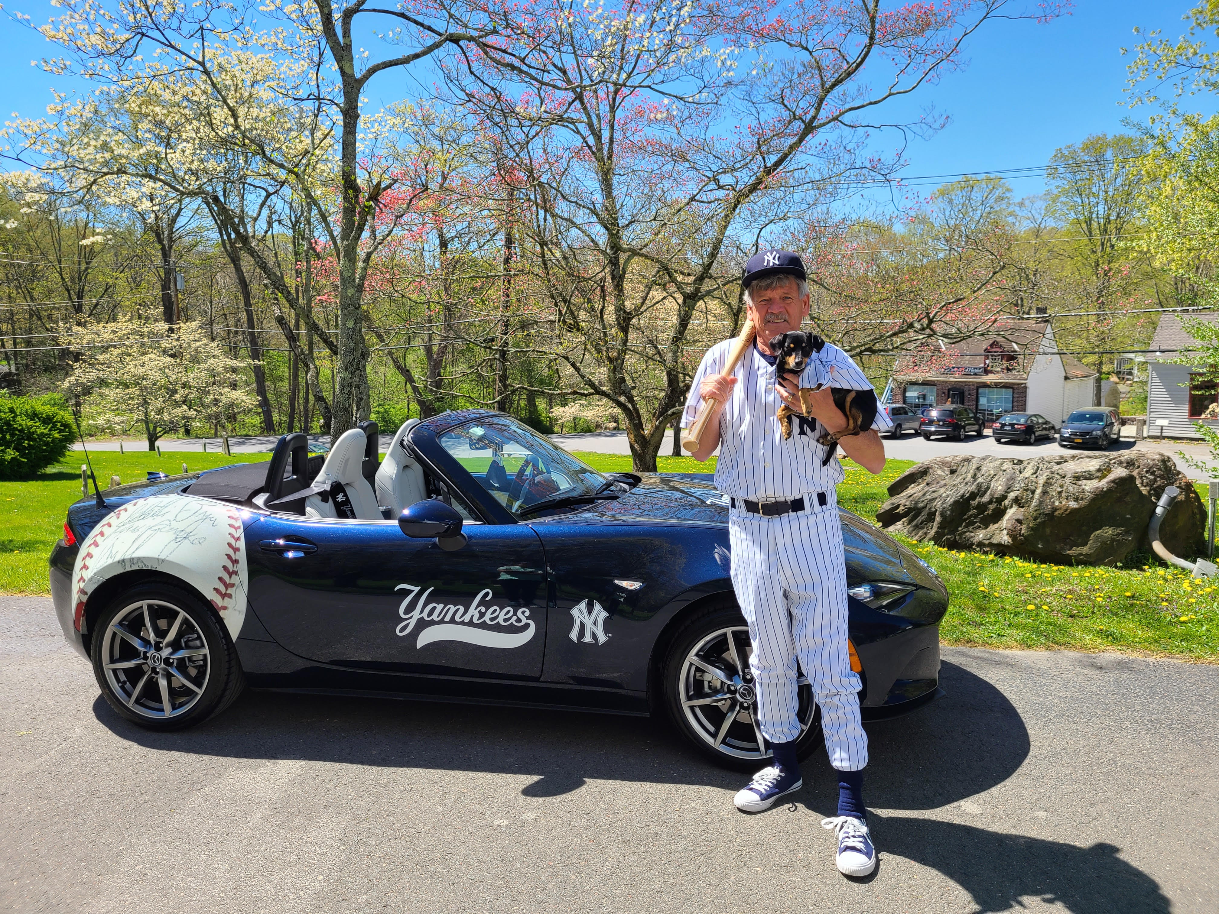 Yankee Baseball mobile.jpg